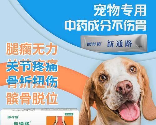 如何诊断和治疗宠物狗关节炎？（预防是关键，了解症状很重要）