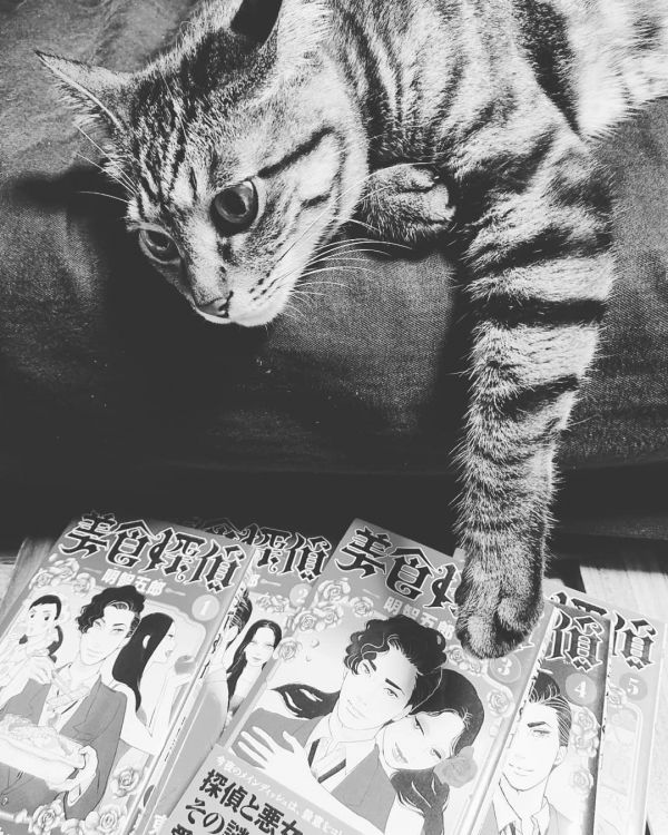 猫咪