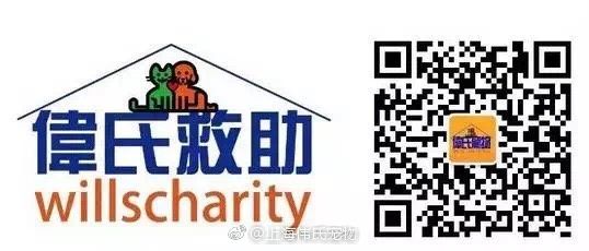 识别图中二维码即可订阅我们