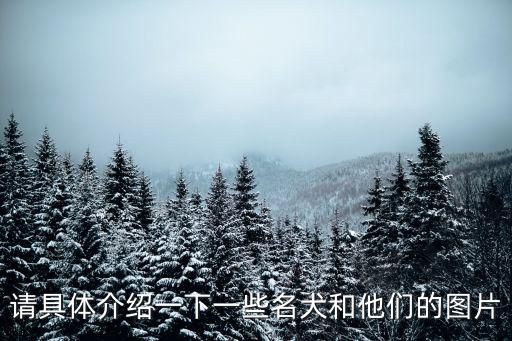 请具体介绍一下一些名犬和他们的图片