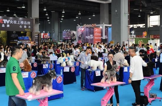 成都国际宠物展览会CPAE(www.828i.com)