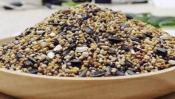 求推荐鹦鹉饲料（适合虎皮鹦鹉、玄凤鹦鹉作为主食）？