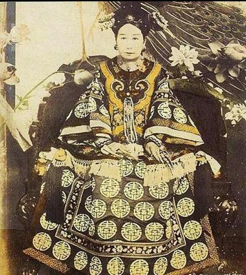 笼养宠物鸟放生后，在野外会生存吗？观赏鸟放生详细手册