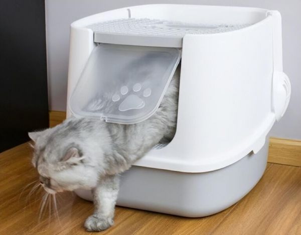 选什么样的猫砂盆比较好用？猫砂盆尺寸款式选择指南