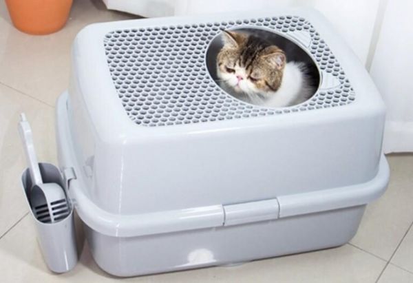 选什么样的猫砂盆比较好用？猫砂盆尺寸款式选择指南