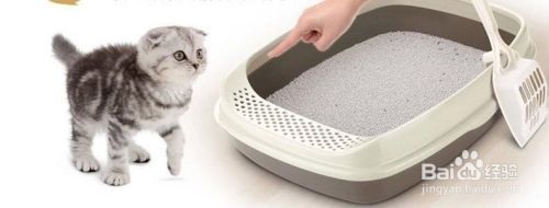 猫砂盆放哪里比较好？