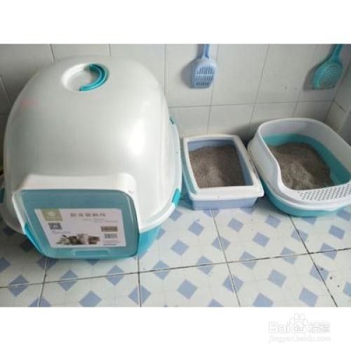 猫砂盆放哪里比较好？