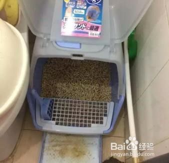 猫砂盆放哪里比较好？