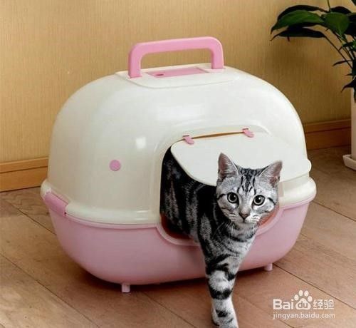 猫砂盆放哪里比较好？