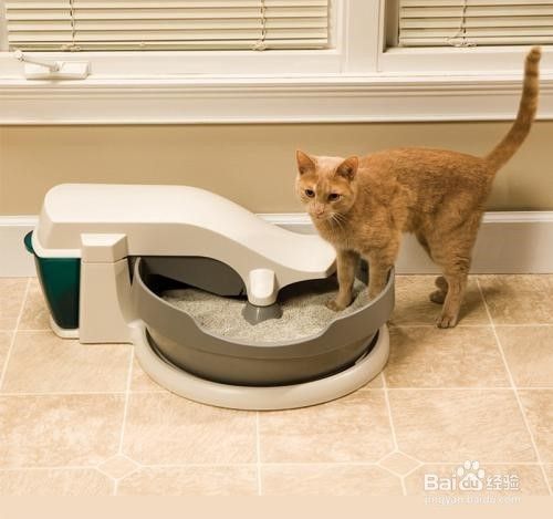 猫砂盆放哪里比较好？