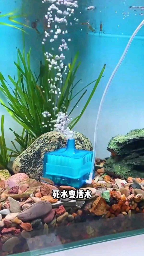 鱼缸制氧机家用静音_鱼缸氧气泵静音增氧泵_鱼池增氧机_养鱼知识大全_养鱼饲料_观赏鱼饲料