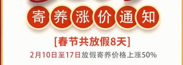 宠物该去哪儿过年？