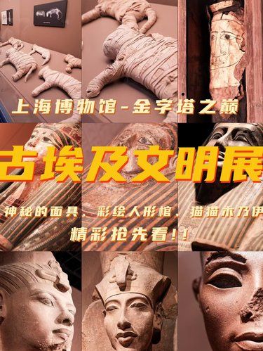 【上博古埃及展暴走5小时血泪教训，少踩雷攻略