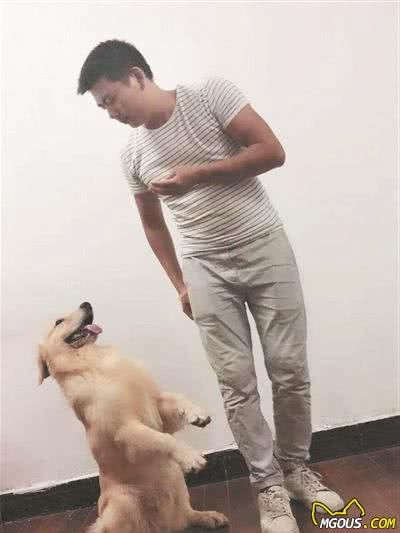 宠物高级驯养师支招：学会这三种训犬方法狗狗变乖不乱叫乱拉