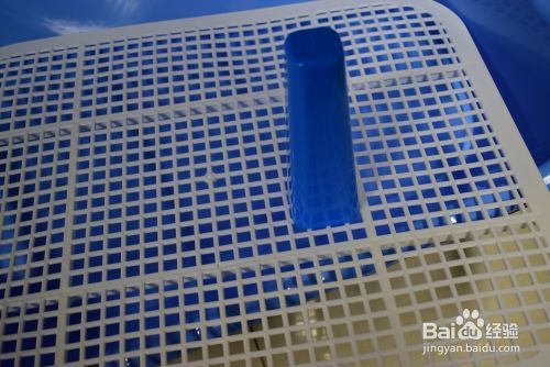 狗狗厕所怎么使用图解 狗尿垫怎么用