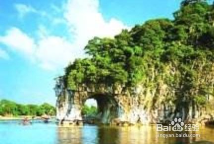 宠物店狗吠声扰民不知道怎么办