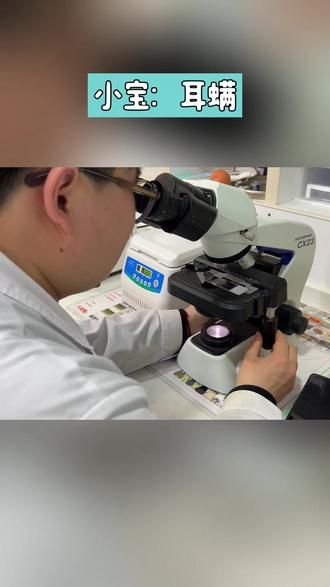 第21集：狗狗耳螨 ️阳光明媚，小小的寄生虫们开始活跃起来！你瞧，一只活跃的耳螨，正在手舞足蹈 每月按时做驱虫，️守护小宝贝们的健康！#科学养宠攻略 #显微镜下的世界