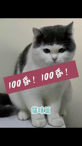 第22集：什么！什么！打疫苗还附送按摩？？
