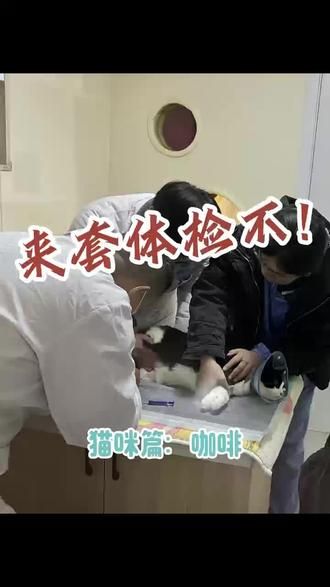 第23集：宠物的定期体检至关重要！ 所有的一切，都是为了让宠物们能更好的陪伴我们到更远的时光！#宠物体检 #认真工作 #心超