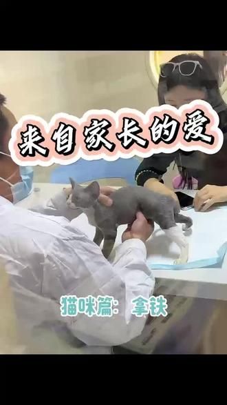 第27集：仲信宠物医院和大家一起倡导科学养宠，文明养宠，人宠共乐 我们不仅提供专业的医疗服务，还宣讲科学养宠知识，帮助家长们能够更好地照顾自家的小宝贝们！