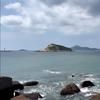 酷色的风