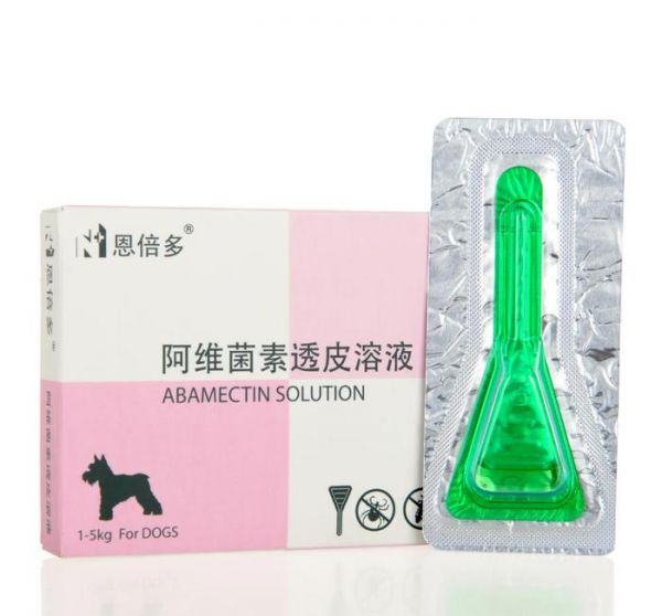 宠物身上的跳蚤、螨虫如何清理？教你这两招，宠物干净又健康