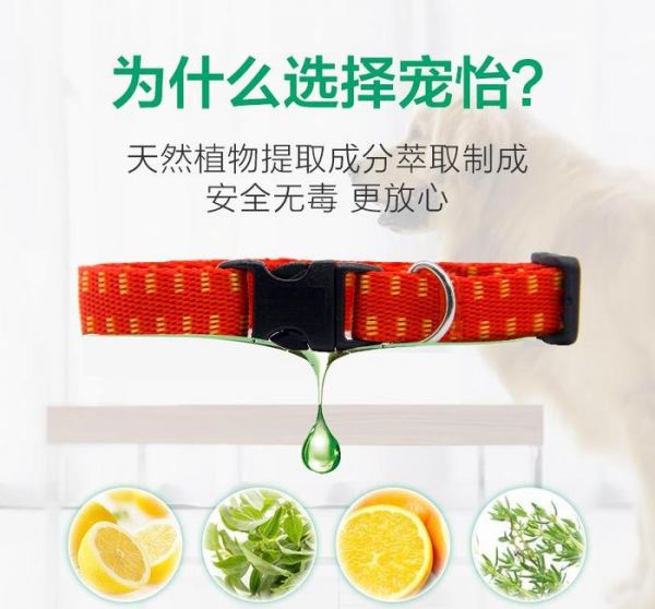 宠物身上的跳蚤、螨虫如何清理？教你这两招，宠物干净又健康