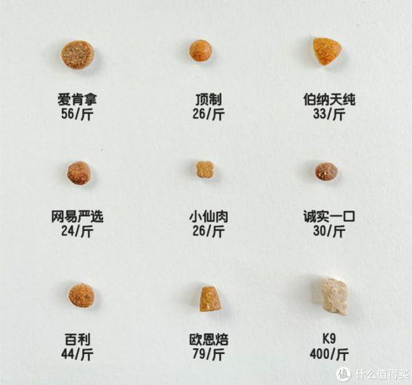 猫粮怎么选哪个牌子好？教你4招：根据猫粮颗粒选猫粮