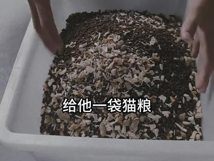 麦克阿瑟大型纪录片之消失的猫粮 #猫粮 #麦克阿瑟纪录片 #猫粮测评 #猫粮避雷