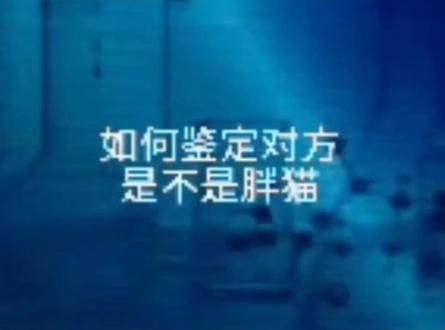 #原创#秀图#胖猫#化学实验 细思极恐。。别跑这是秀图