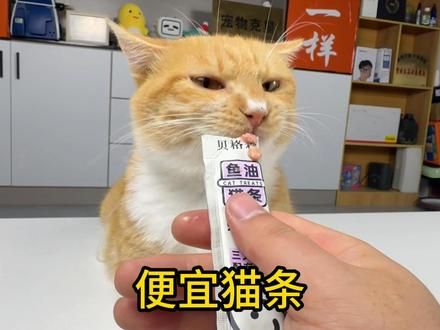 7.9元60根的猫条,这么便宜,猫能吃吗? #开箱测评 #猫条测评 #猫条推荐