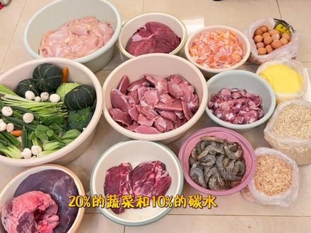 又是累到爆炸的一天,我自称狗饭届东北雨姐! #自制狗饭 #给狗配餐教程 #犬粮推荐 #狗吃的比我好系列 #狗狗吃饭 我的一天一夜24小时汇聚成12分钟,感谢叔叔阿姨的耐心观看!