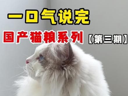 讲完市面上大半的国产猫粮(三)看看有没有你想问的 #猫粮#猫粮盘点#醇粹猫粮 #纯刻猫粮 #猫友爱猫粮