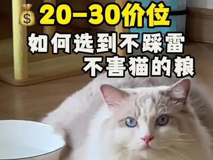 20-30价位,如何选到不踩雷不害猫的粮 #猫粮#猫主粮 #养猫经验分享#科学养宠攻略 #养猫人