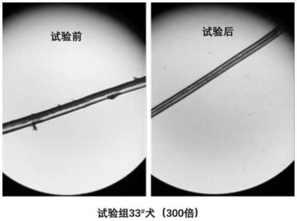 一种改善宠物被毛质量的添加剂及其制备方法和应用与流程