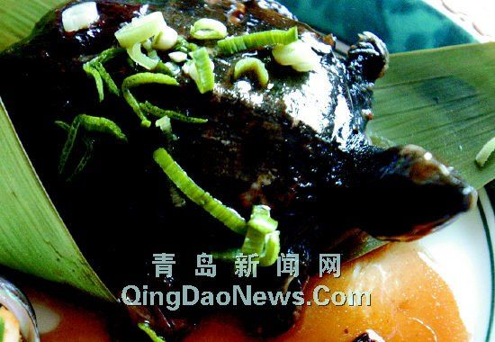 宰杀宠物怎能下咽巴西龟毫无营养竟被用来做菜