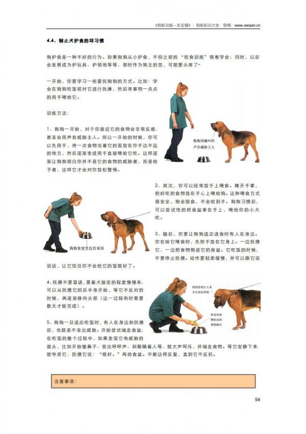 狗狗训练一本足够-内容截图4