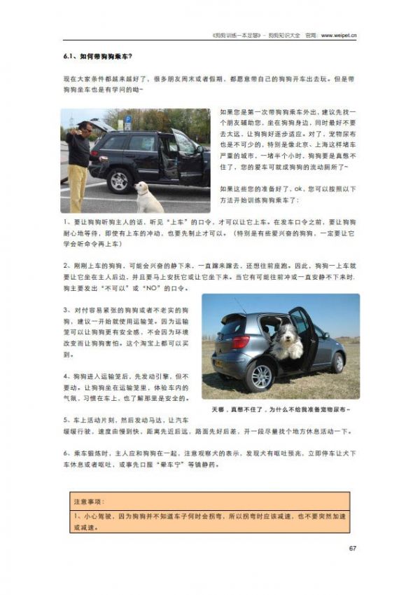 狗狗训练一本足够-内容截图6