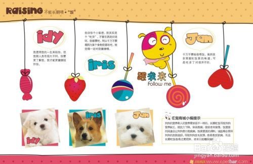狗狗书籍有哪些