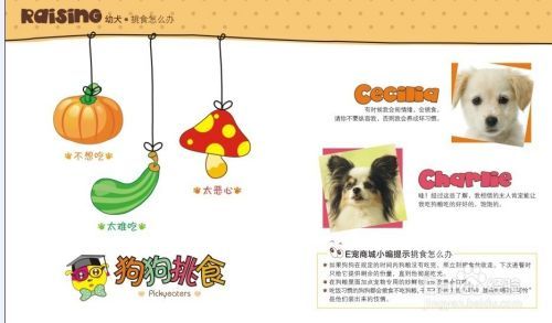 狗狗书籍有哪些