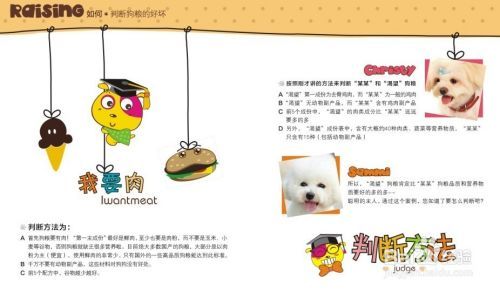 狗狗书籍有哪些
