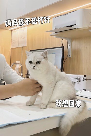 愿世间所有小动物都被温柔以待❤️