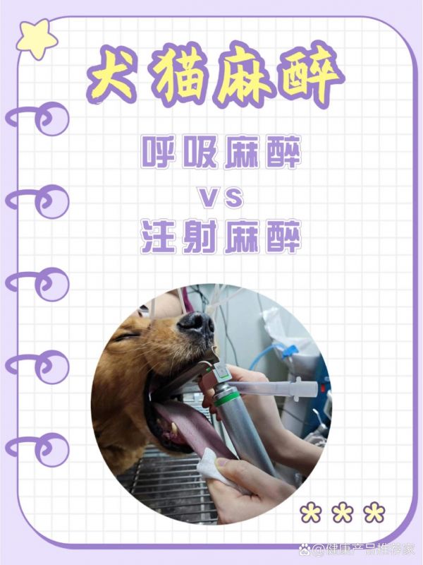 https://selfpage-gips.cdn.bcebos.com/f65722cf72b18fb020a37f88bec84f31.jpg