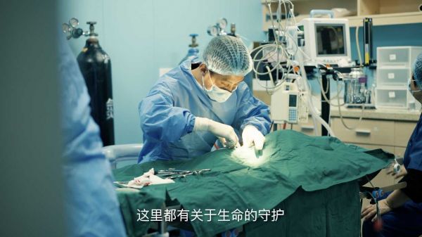 宠亲宠物医院宣传视频
