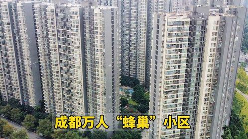 成都万人“蜂巢”小区，房屋密集不输香港，住的太压抑了