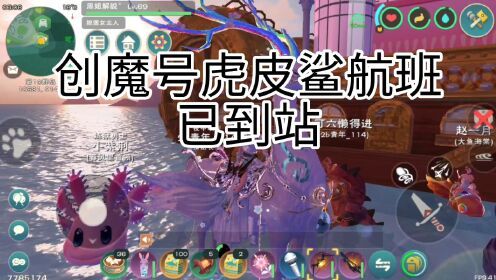 周姐解说：创造与魔法2652期，创魔号虎皮鲨航班已成功到站！