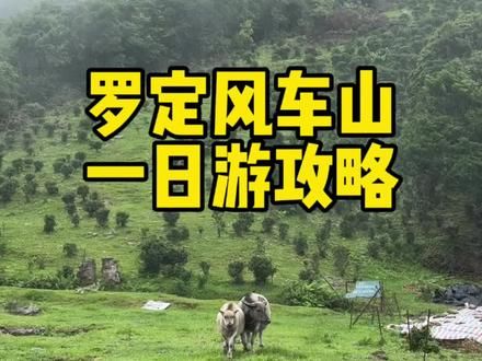 罗定风车山 两人一狗 轻松前进攻略#罗定风车山 #携宠出游 #那山那人那狗