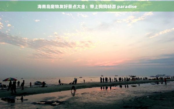 海南岛宠物友好景点大全：带上狗狗畅游 paradise
