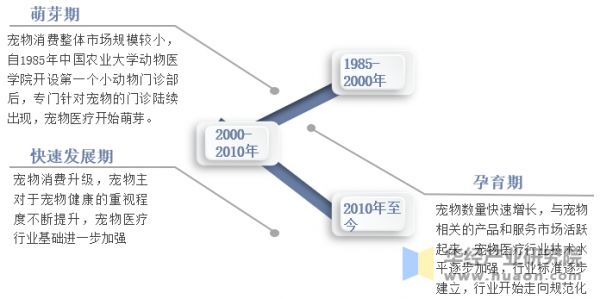中国宠物医疗行业发展历程示意图