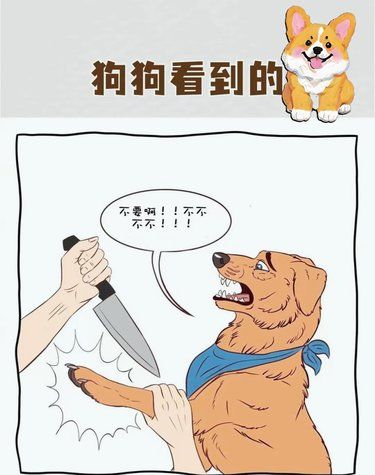狗狗眼里的世界，原来这么离谱！！